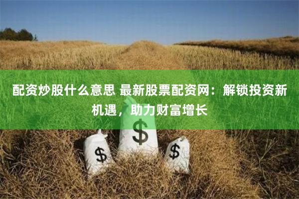 配资炒股什么意思 最新股票配资网：解锁投资新机遇，助力财富增长