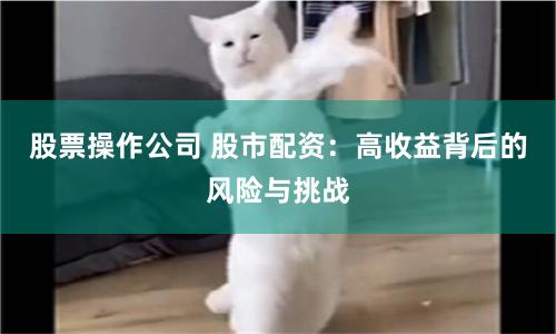 股票操作公司 股市配资：高收益背后的风险与挑战